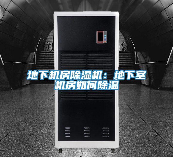 地下機房榴莲视频官网APP：地下室機房如何除濕