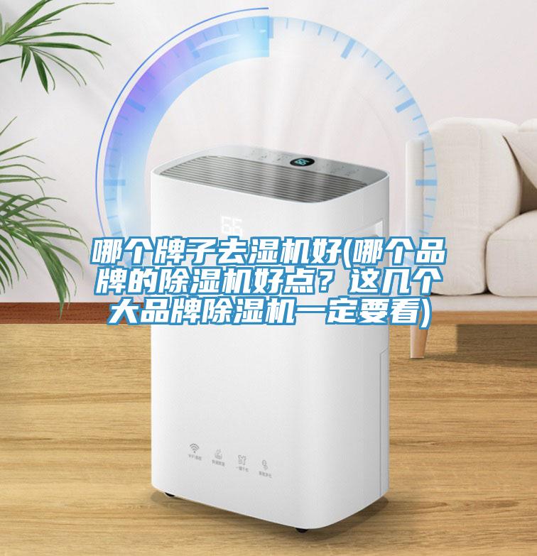 哪個牌子去濕機好(哪個品牌的榴莲视频官网APP好點？這幾個大品牌榴莲视频官网APP一定要看)