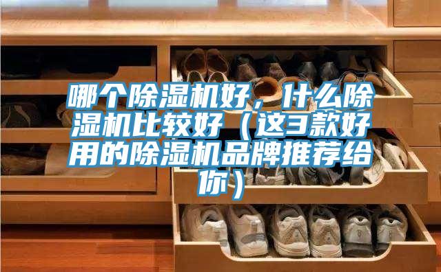 哪個榴莲视频官网APP好，什麽榴莲视频官网APP比較好（這3款好用的榴莲视频官网APP品牌推薦給你）
