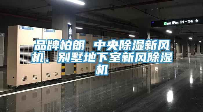 品牌柏朗 中央除濕新風機、別墅地下室新風榴莲视频官网APP