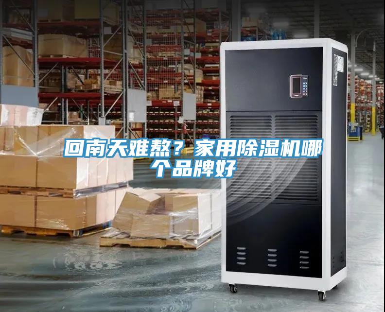 回南天難熬？家用榴莲视频官网APP哪個品牌好