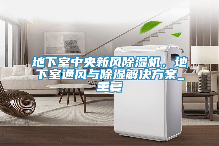地下室中央新風榴莲视频官网APP，地下室通風與除濕解決方案_重複