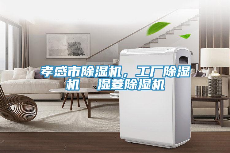 孝感市榴莲视频官网APP，工廠榴莲视频官网APP  濕菱榴莲视频官网APP
