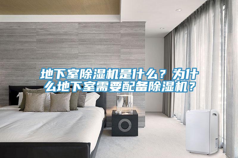 地下室榴莲视频官网APP是什麽？為什麽地下室需要配備榴莲视频官网APP？