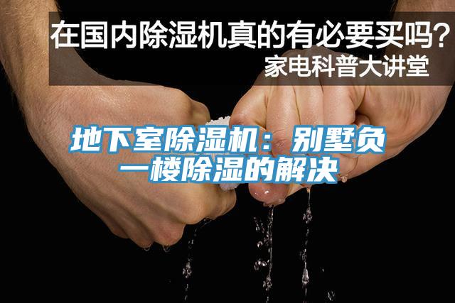 地下室榴莲视频官网APP：別墅負一樓除濕的解決