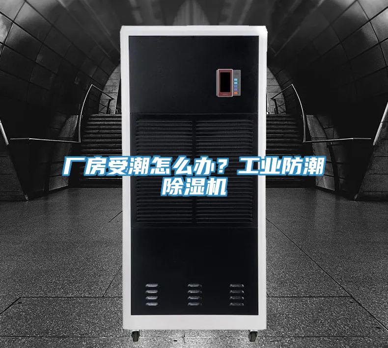 廠房受潮怎麽辦？工業防潮榴莲视频官网APP