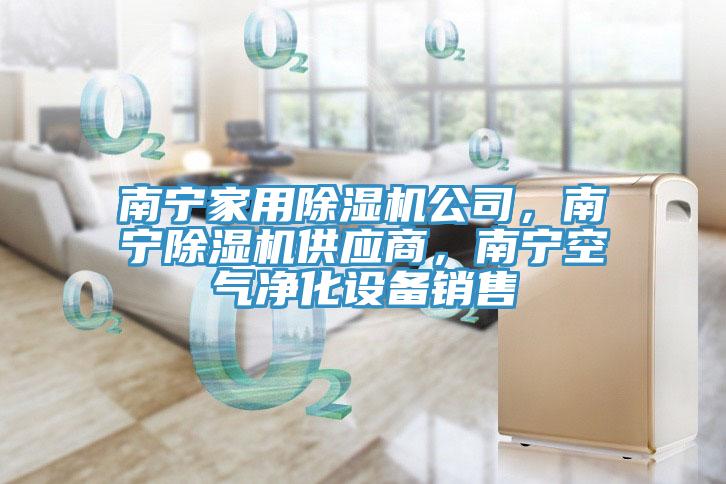 南寧家用榴莲视频官网APP公司，南寧榴莲视频官网APP供應商，南寧空氣淨化設備銷售