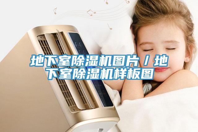 地下室榴莲视频官网APP圖片／地下室榴莲视频官网APP樣板圖