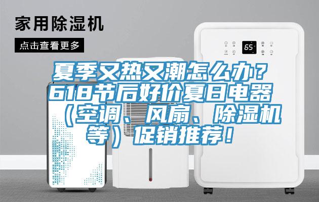 夏季又熱又潮怎麽辦？618節後好價夏日電器（空調、風扇、榴莲视频官网APP等）促銷推薦！