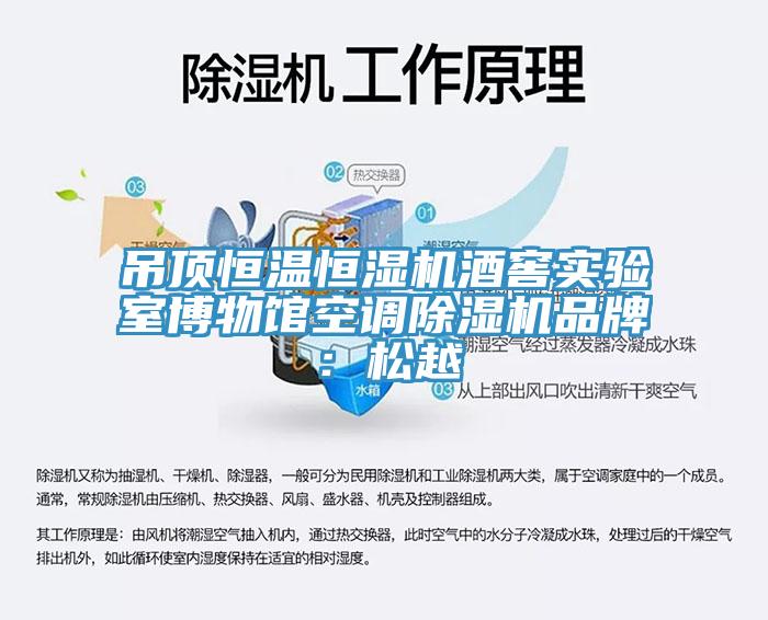 吊頂恒溫恒濕機酒窖實驗室博物館空調榴莲视频官网APP品牌：鬆越