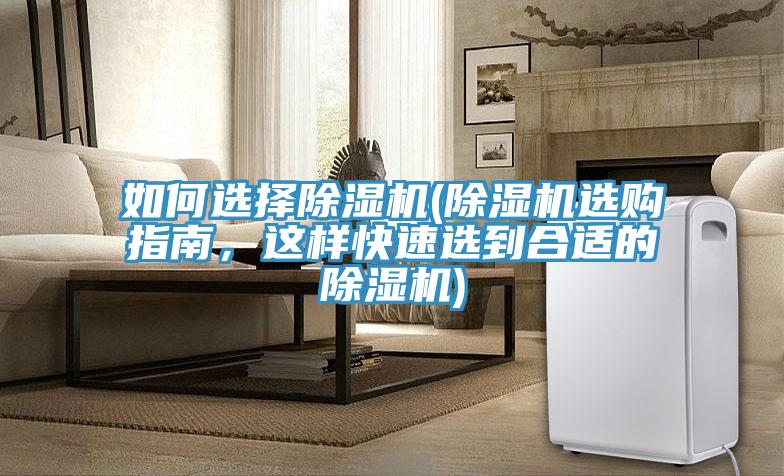 如何選擇榴莲视频官网APP(榴莲视频官网APP選購指南，這樣快速選到合適的榴莲视频官网APP)