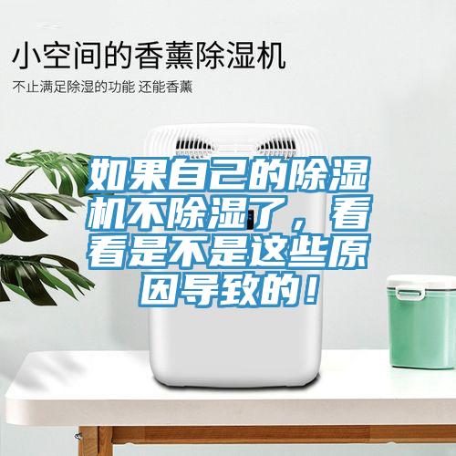 如果自己的榴莲视频官网APP不除濕了，看看是不是這些原因導致的！