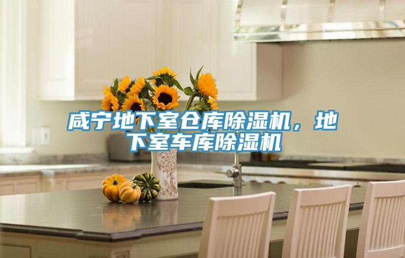 鹹寧地下室倉庫榴莲视频官网APP，地下室車庫榴莲视频官网APP