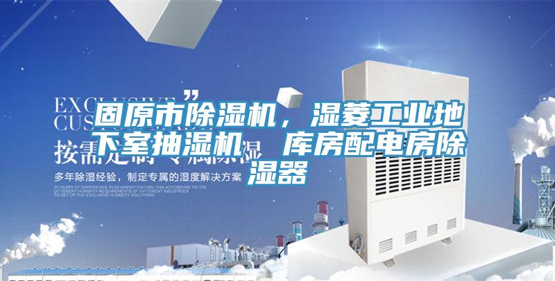 固原市榴莲视频官网APP，濕菱工業地下室抽濕機  庫房配電房除濕器