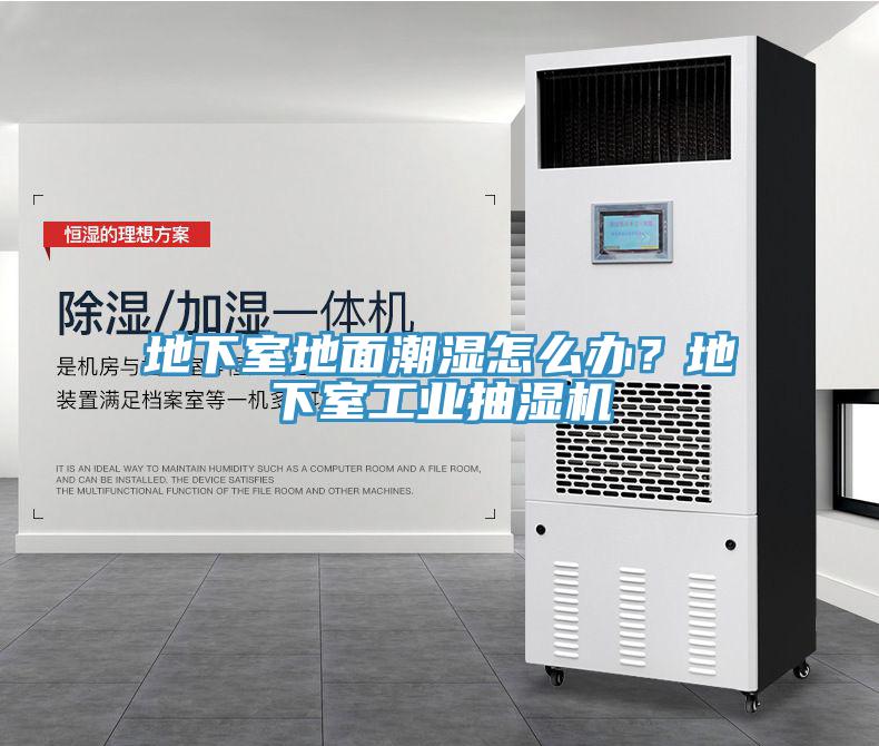 地下室地麵潮濕怎麽辦？地下室工業抽濕機