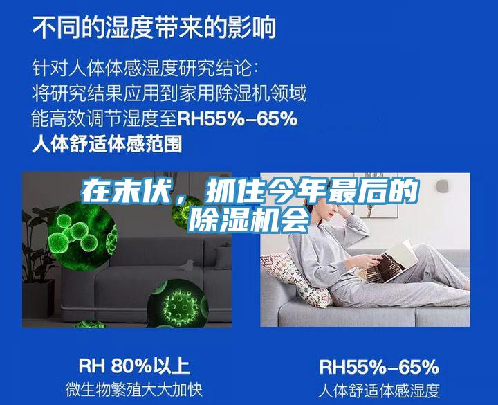 在末伏，抓住今年最後的榴莲视频官网APP會