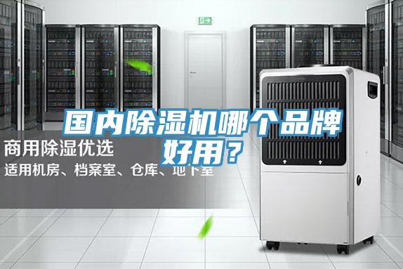 國內榴莲视频官网APP哪個品牌好用？