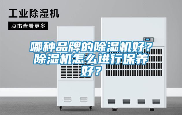 哪種品牌的榴莲视频官网APP好？榴莲视频官网APP怎麽進行保養好？