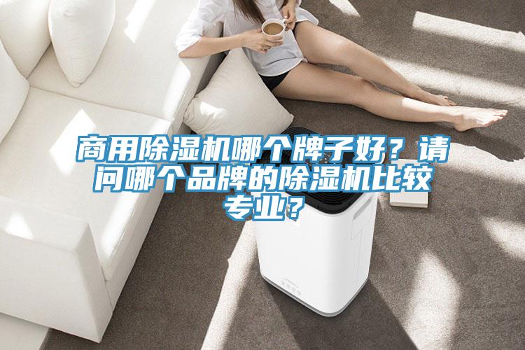 商用榴莲视频官网APP哪個牌子好？請問哪個品牌的榴莲视频官网APP比較專業？
