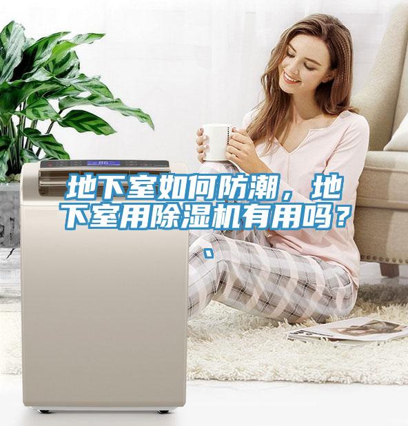 地下室如何防潮，地下室用榴莲视频官网APP有用嗎？、