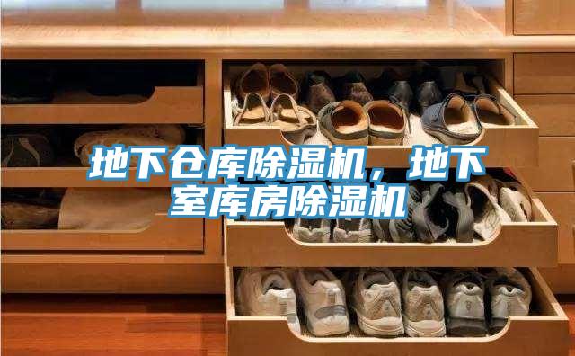 地下倉庫榴莲视频官网APP，地下室庫房榴莲视频官网APP