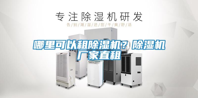 哪裏可以租榴莲视频官网APP？榴莲视频官网APP廠家直租