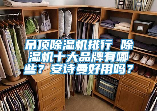 吊頂榴莲视频官网APP排行 榴莲视频官网APP十大品牌有哪些？榴莲网站在线观看好用嗎？