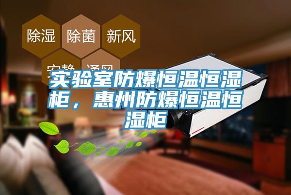 實驗室防爆恒溫恒濕櫃，惠州防爆恒溫恒濕櫃