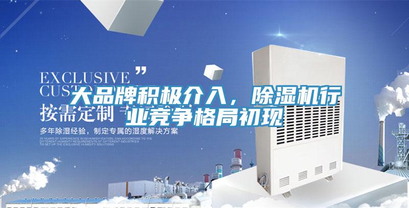 大品牌積極介入，榴莲视频官网APP行業競爭格局初現