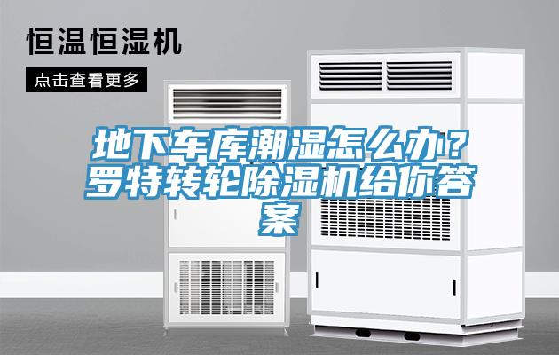 地下車庫潮濕怎麽辦？羅特轉輪榴莲视频官网APP給你答案
