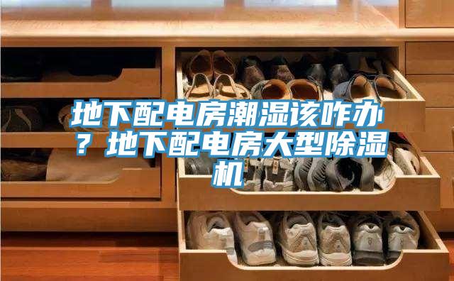 地下配電房潮濕該咋辦？地下配電房大型榴莲视频官网APP