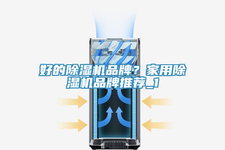 好的榴莲视频官网APP品牌？家用榴莲视频官网APP品牌推薦_1