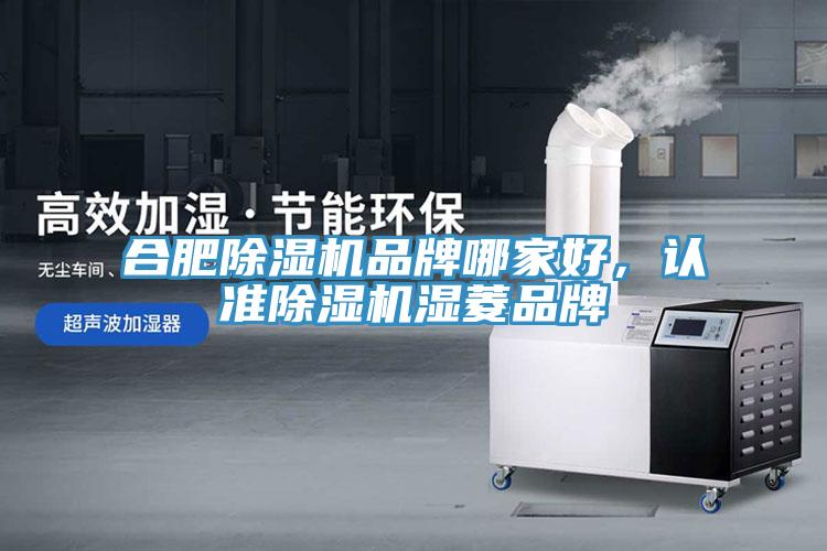 合肥榴莲视频官网APP品牌哪家好，認準榴莲视频官网APP濕菱品牌