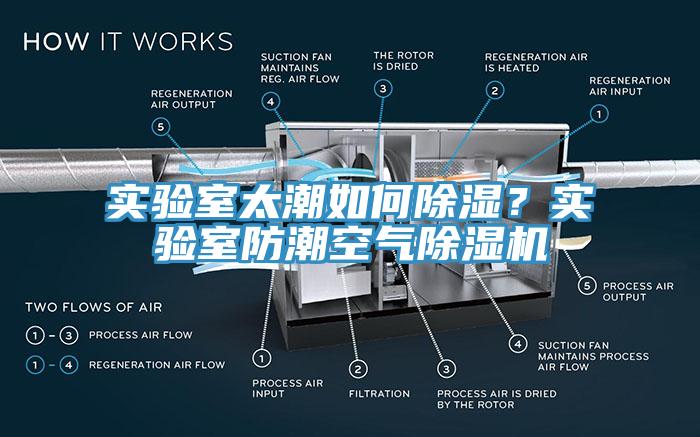 實驗室太潮如何除濕？實驗室防潮空氣榴莲视频官网APP