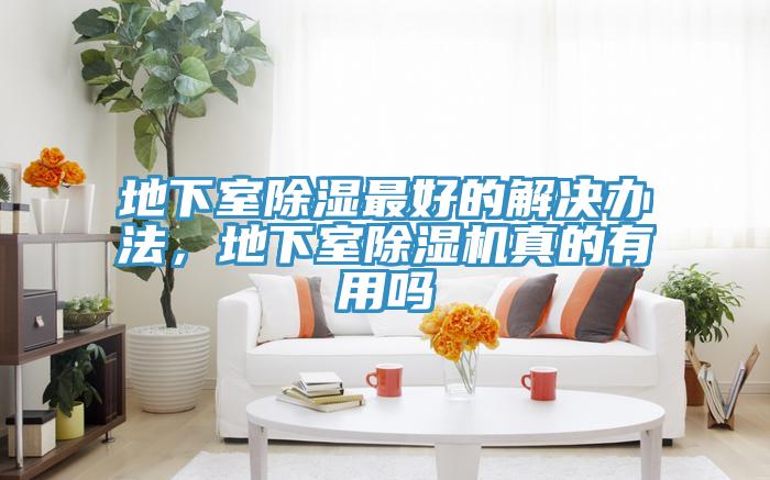 地下室除濕最好的解決辦法，地下室榴莲视频官网APP真的有用嗎