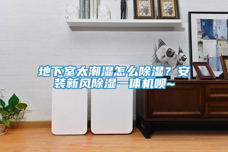 地下室太潮濕怎麽除濕？安裝新風除濕一體機唄~