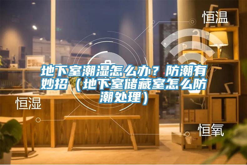 地下室潮濕怎麽辦？防潮有妙招（地下室儲藏室怎麽防潮處理）