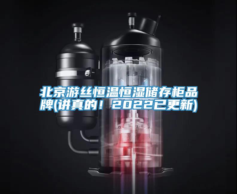 北京遊絲恒溫恒濕儲存櫃品牌(講真的！2022已更新)