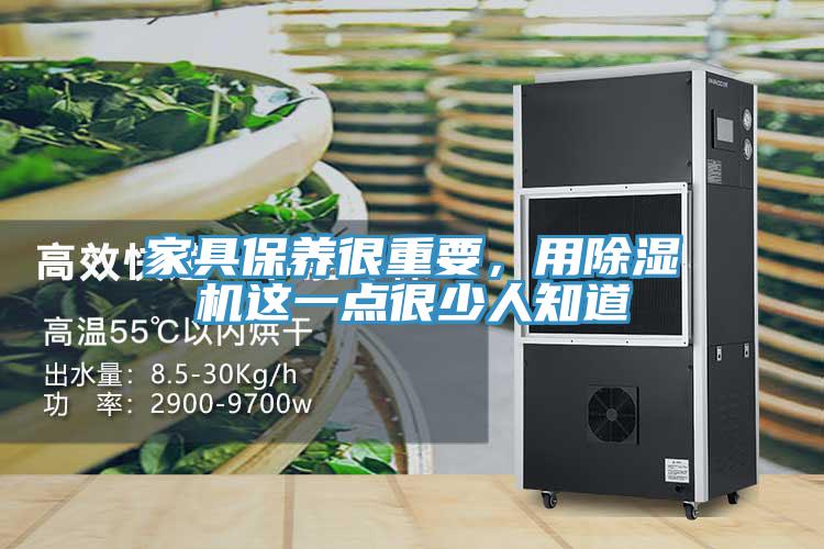 家具保養很重要，用榴莲视频官网APP這一點很少人知道