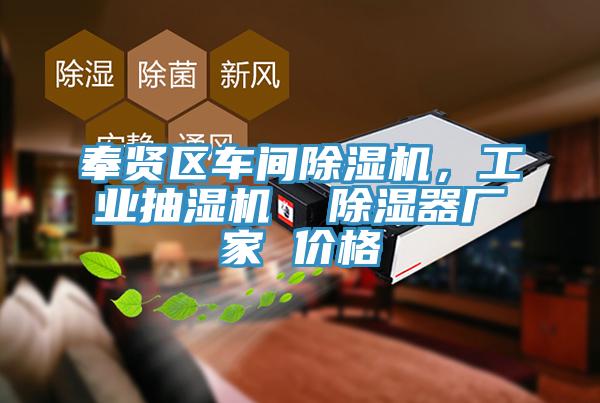 奉賢區車間榴莲视频官网APP，工業抽濕機  除濕器廠家 價格