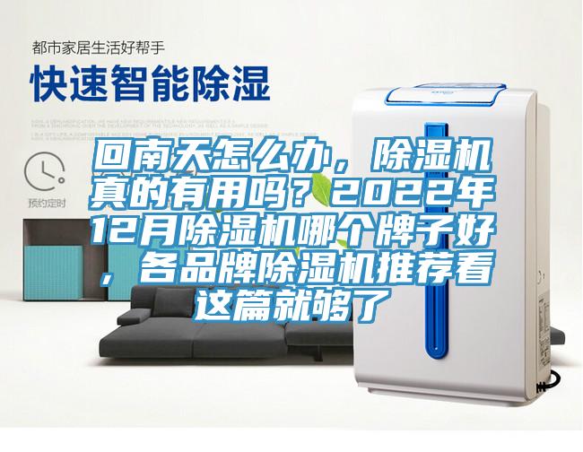 回南天怎麽辦，榴莲视频官网APP真的有用嗎？2022年12月榴莲视频官网APP哪個牌子好，各品牌榴莲视频官网APP推薦看這篇就夠了