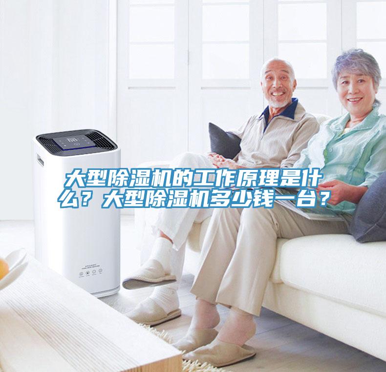 大型榴莲视频官网APP的工作原理是什麽？大型榴莲视频官网APP多少錢一台？