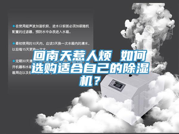回南天惹人煩 如何選購適合自己的榴莲视频官网APP？