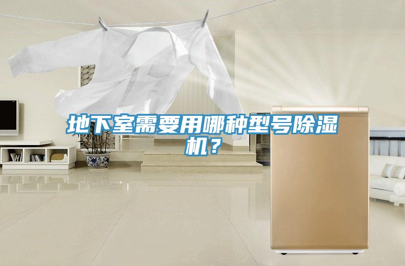 地下室需要用哪種型號榴莲视频官网APP？