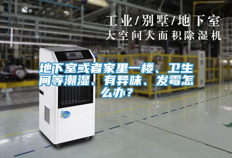 地下室或者家裏一樓、衛生間等潮濕、有異味、發黴怎麽辦？