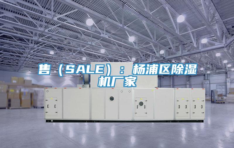 售（SALE）：楊浦區榴莲视频官网APP廠家