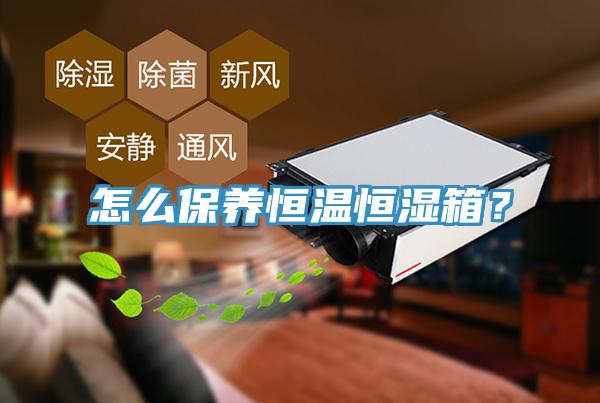 怎麽保養恒溫恒濕箱？