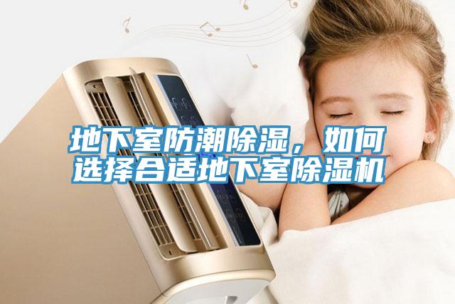 地下室防潮除濕，如何選擇合適地下室榴莲视频官网APP