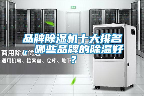 品牌榴莲视频官网APP十大排名，哪些品牌的除濕好？