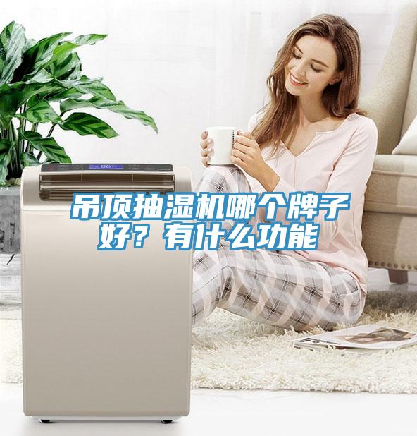 吊頂抽濕機哪個牌子好？有什麽功能